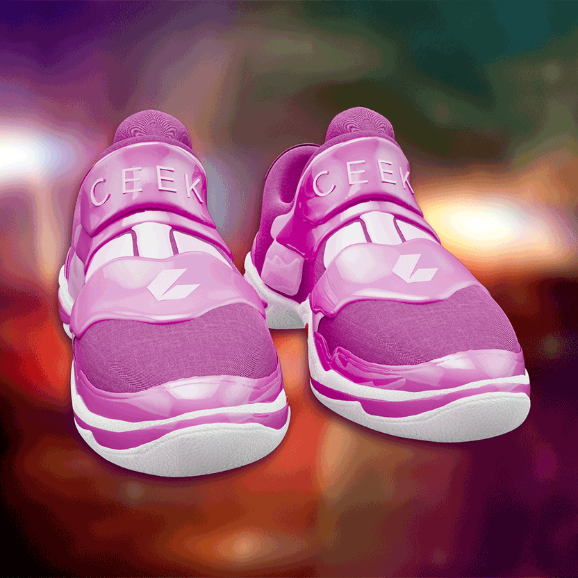 nft Shoe 06 03
