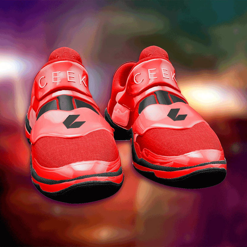 nft Shoe 06 12