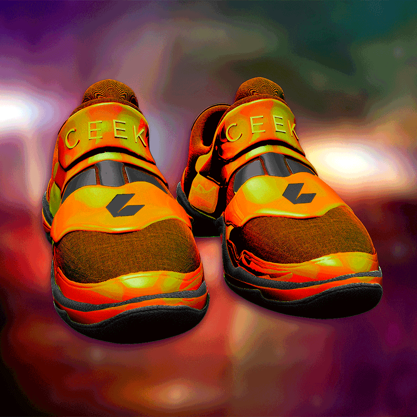 nft Shoe 06 15