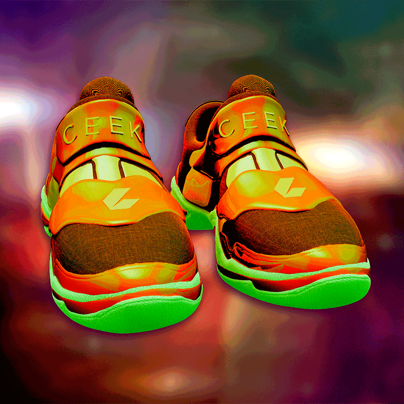 nft Shoe 06 16