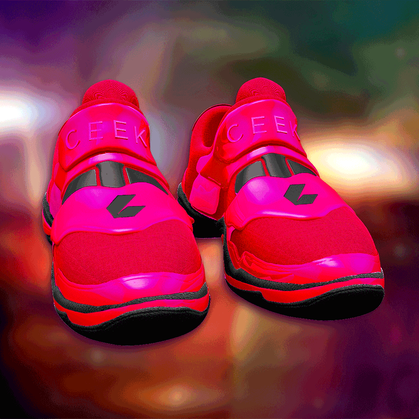 nft Shoe 06 17
