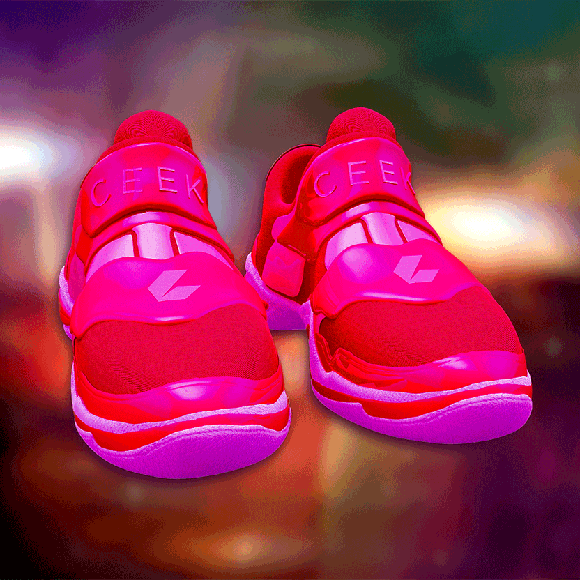 nft Shoe 06 18
