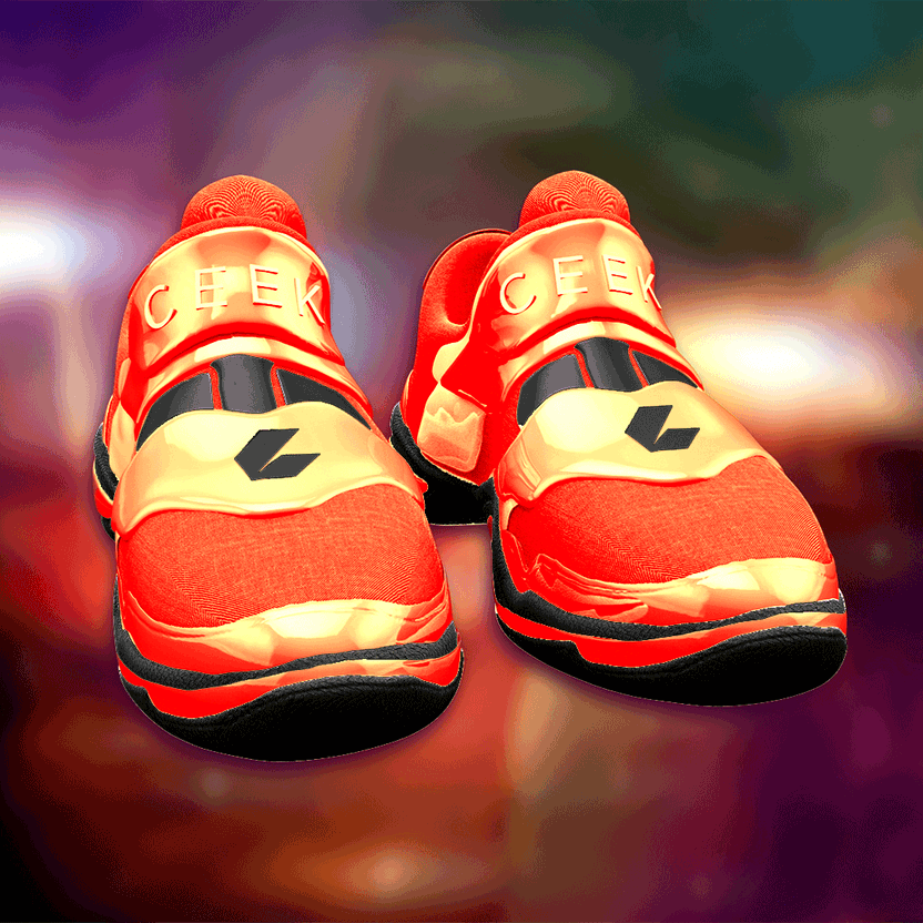 nft Shoe 06 19