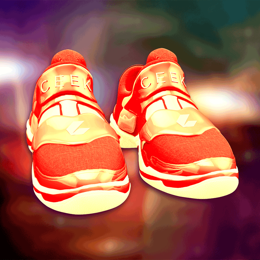 nft Shoe 06 20