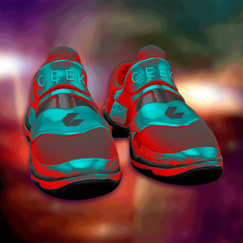 nft Shoe 06 21