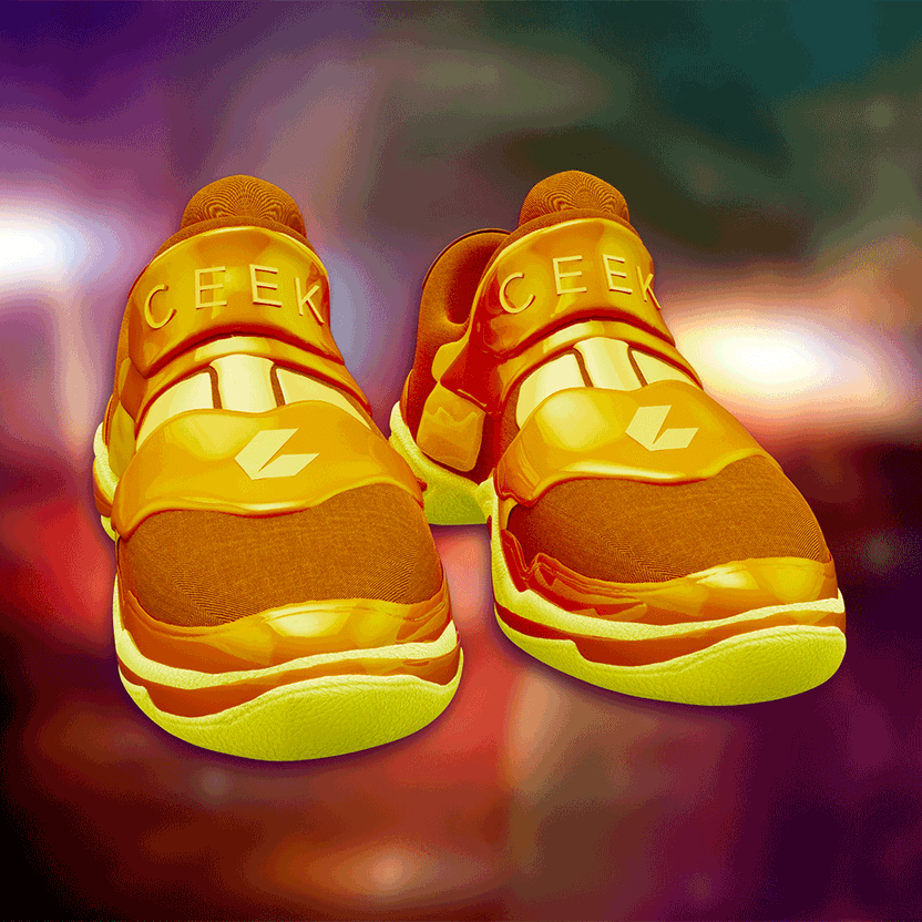 nft Shoe 06 34