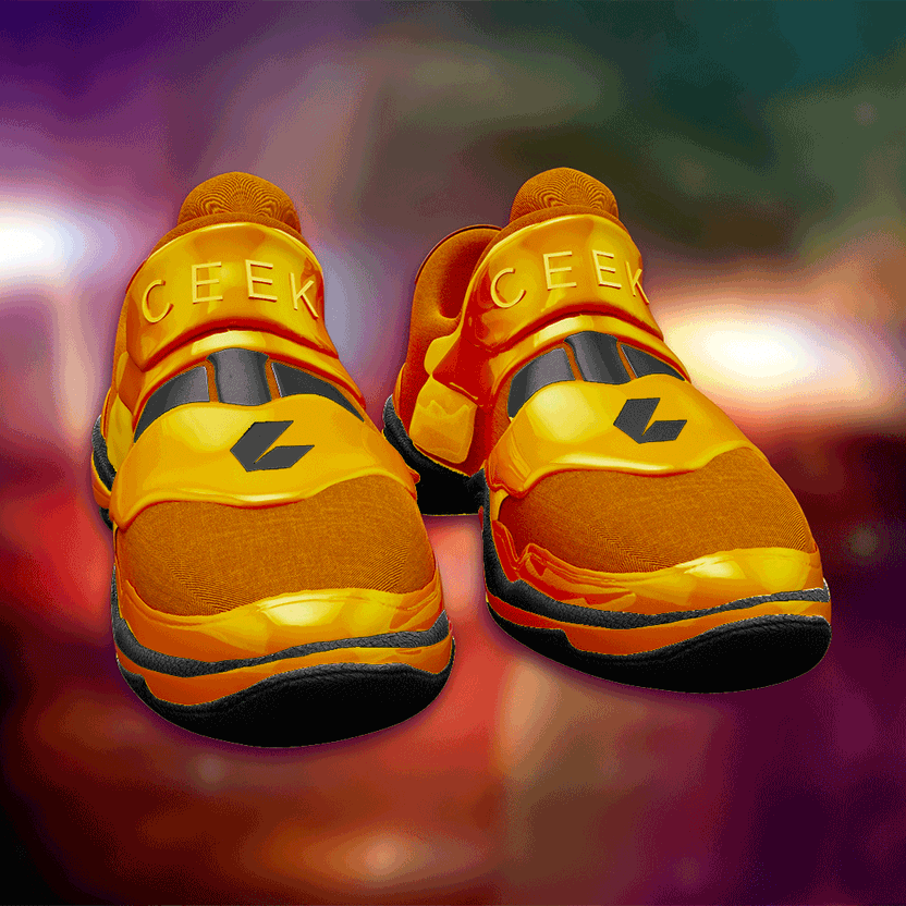 nft Shoe 06 35