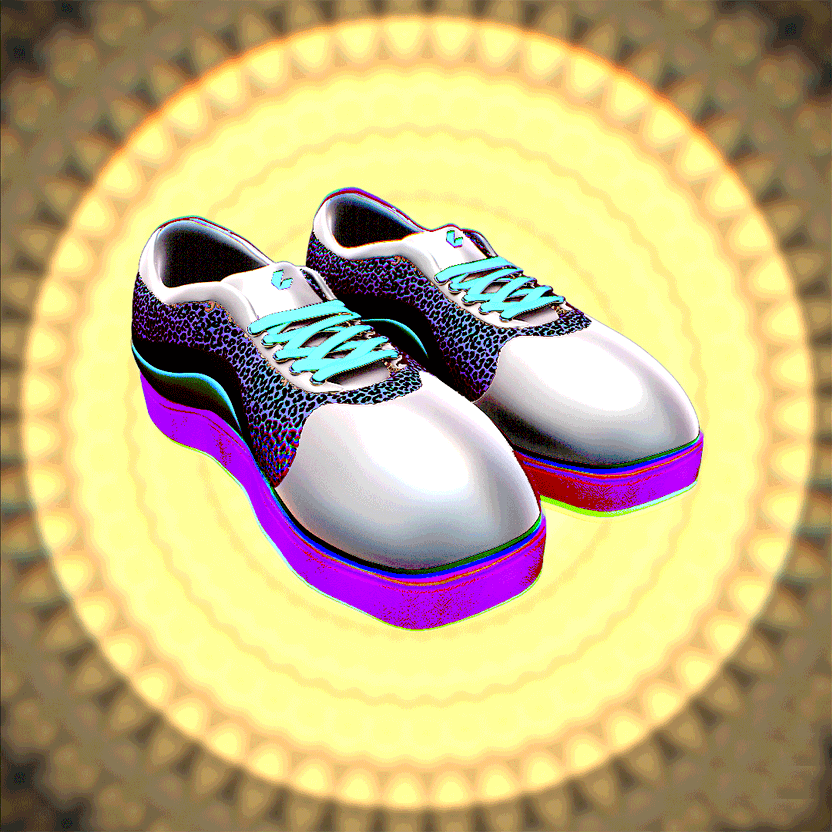 nft Shoe 05 70