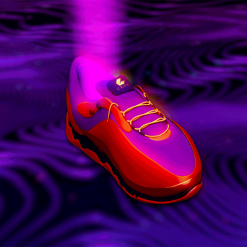nft Shoe 02 13