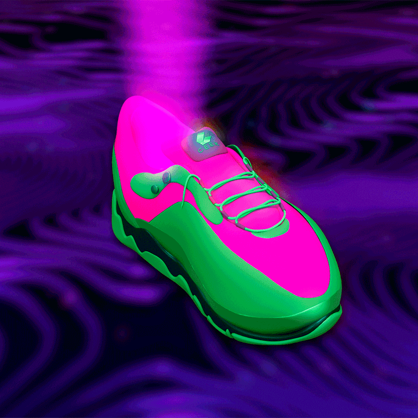 nft Shoe 02 19