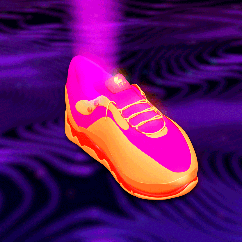 nft Shoe 02 20