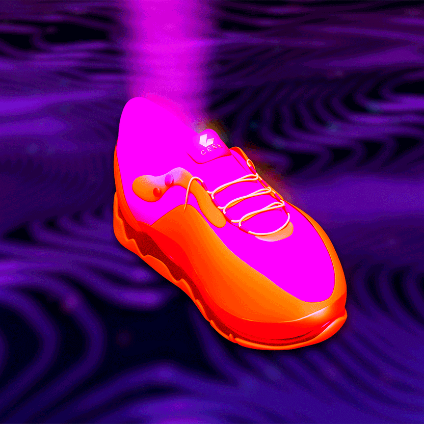 nft Shoe 02 25