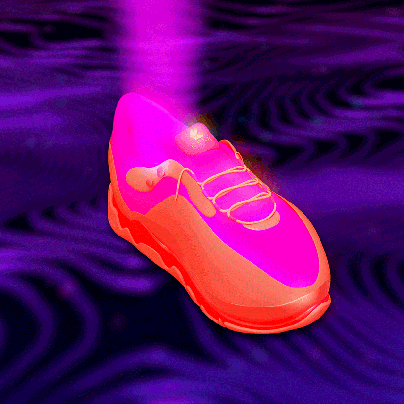 nft Shoe 02 32