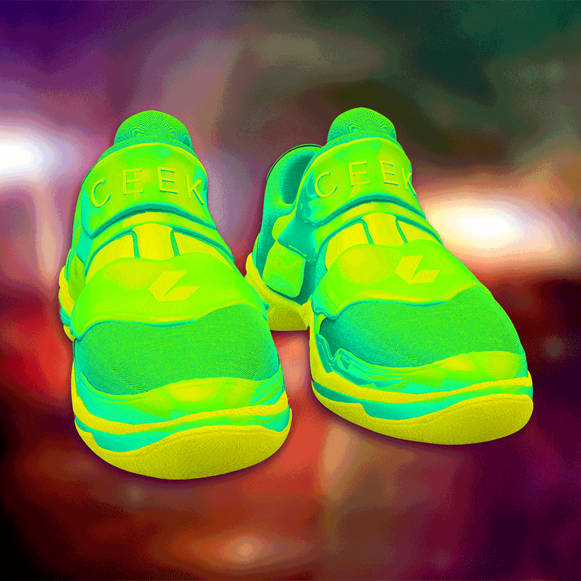 nft Shoe 06 74