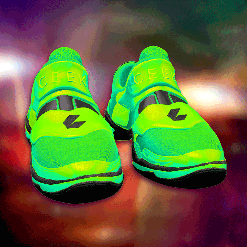 nft Shoe 06 76