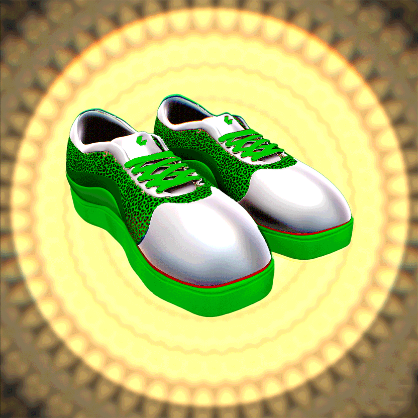 nft Shoe 05 31