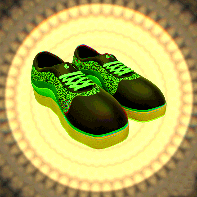 nft Shoe 05 65