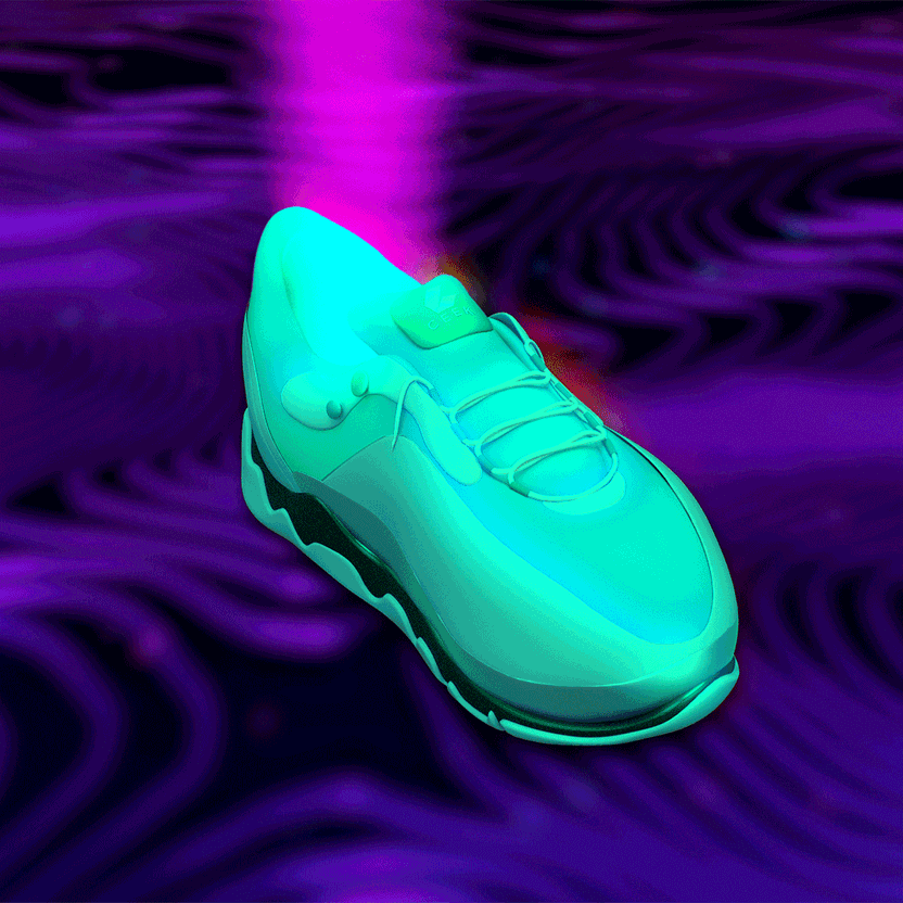 nft Shoe 02 46