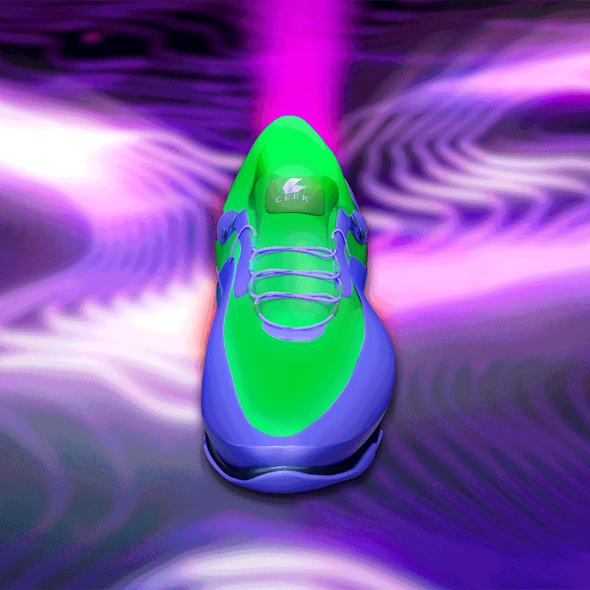 nft Shoe 02 06