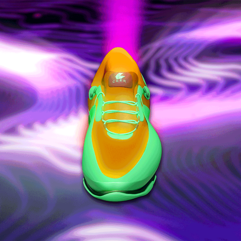 nft Shoe 02 09