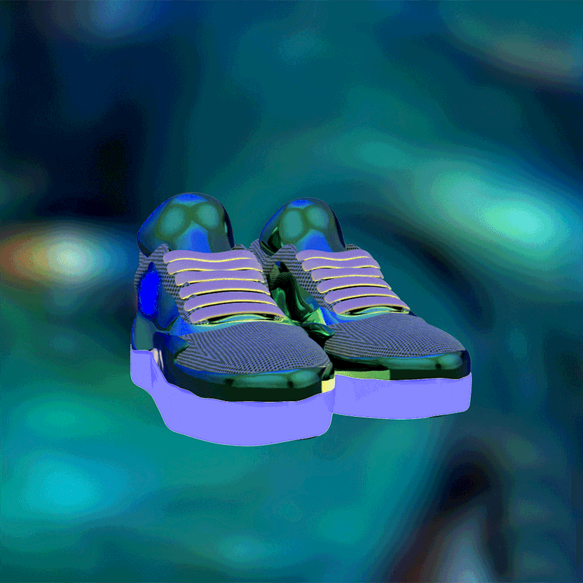 nft Shoe 08 44