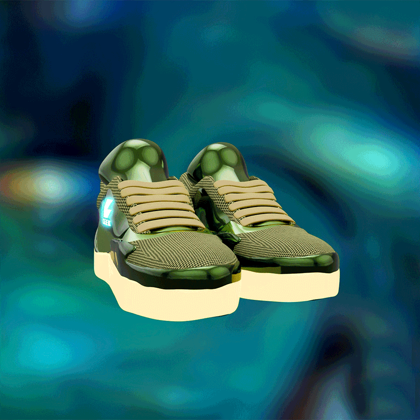 nft Shoe 08 05