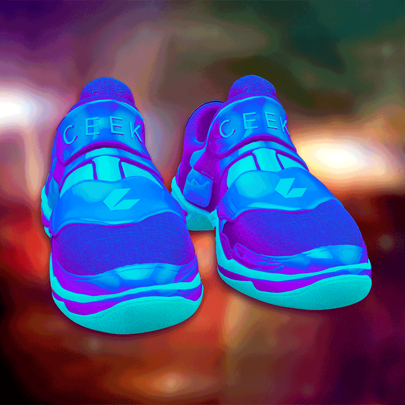nft Shoe 06 88
