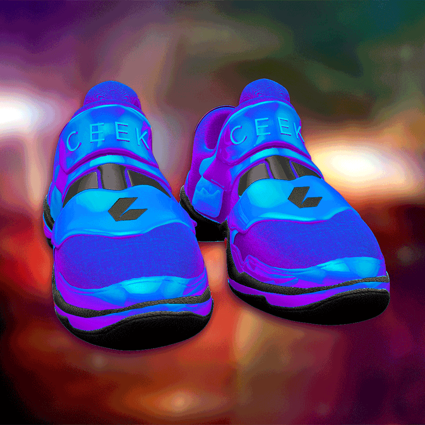 nft Shoe 06 89