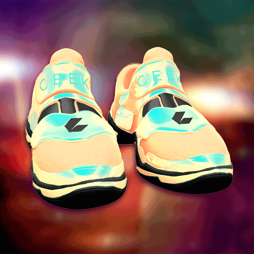 nft Shoe 06 56