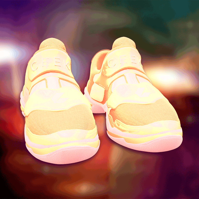 nft Shoe 06 58