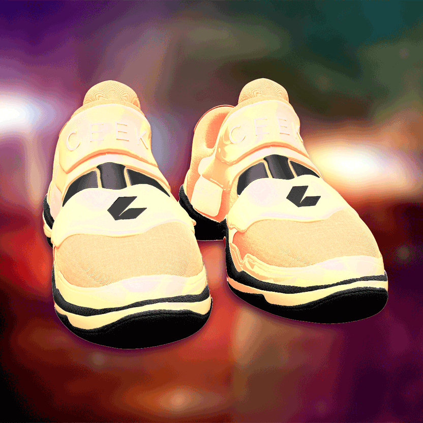 nft Shoe 06 59