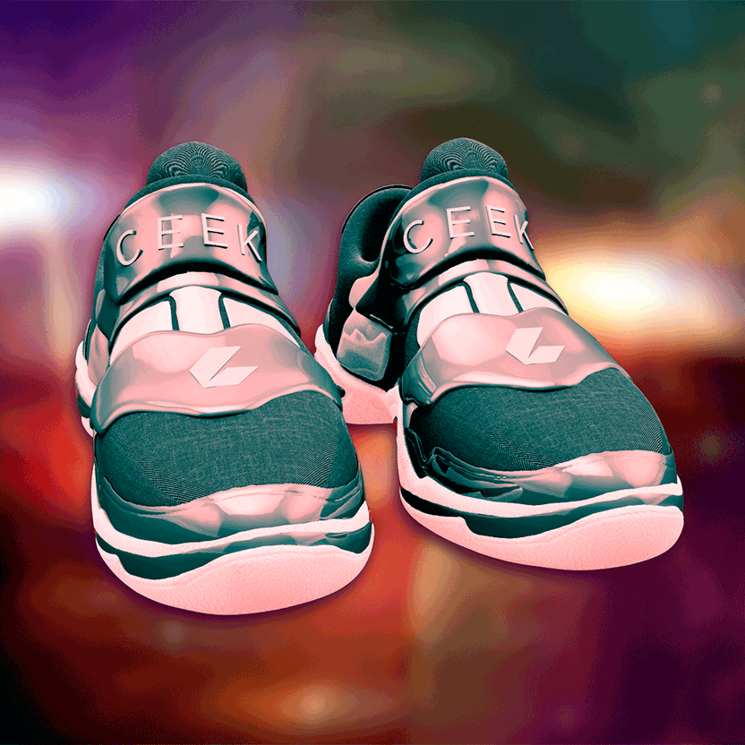 nft Shoe 06 60