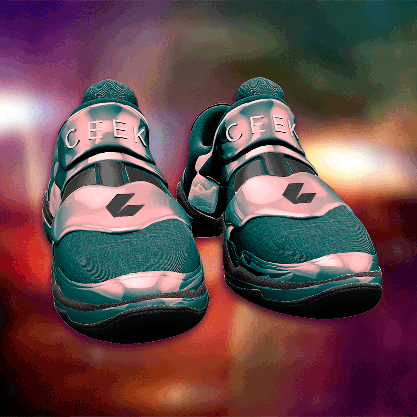 nft Shoe 06 61