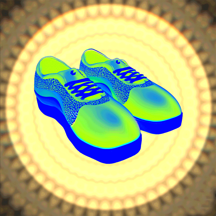 nft Shoe 05 50