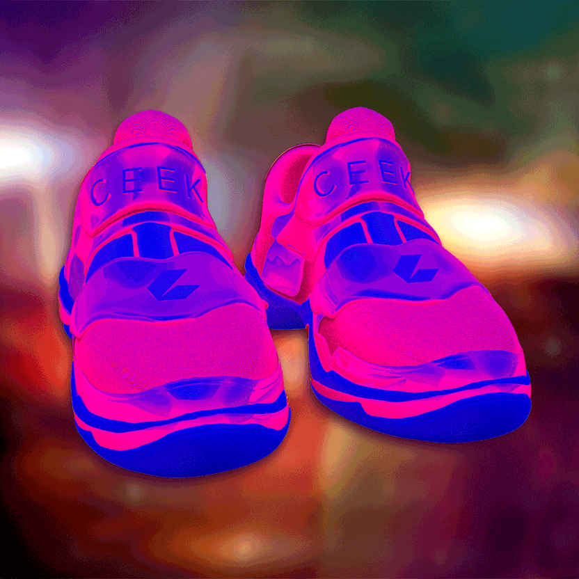 nft Shoe 06 65