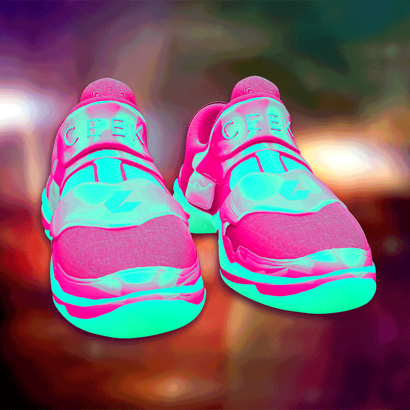 nft Shoe 06 67