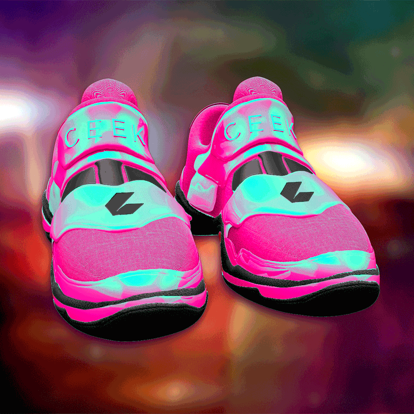 nft Shoe 06 68