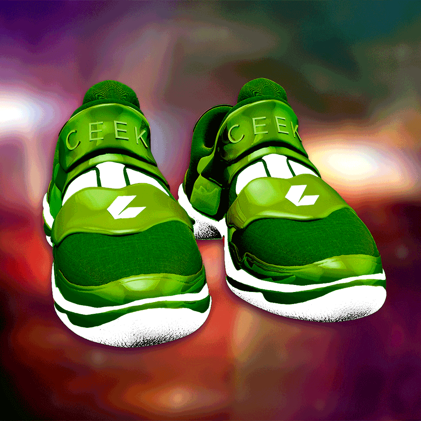 nft Shoe 06 50