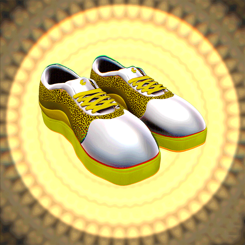 nft Shoe 05 27