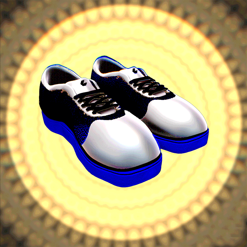 nft Shoe 05 91