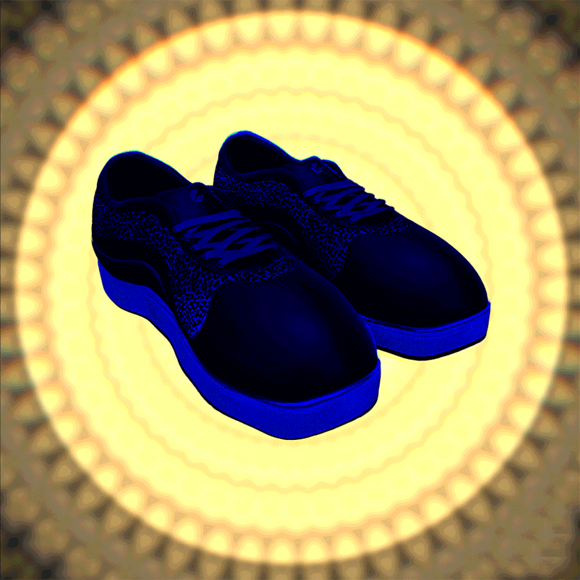 nft Shoe 05 93
