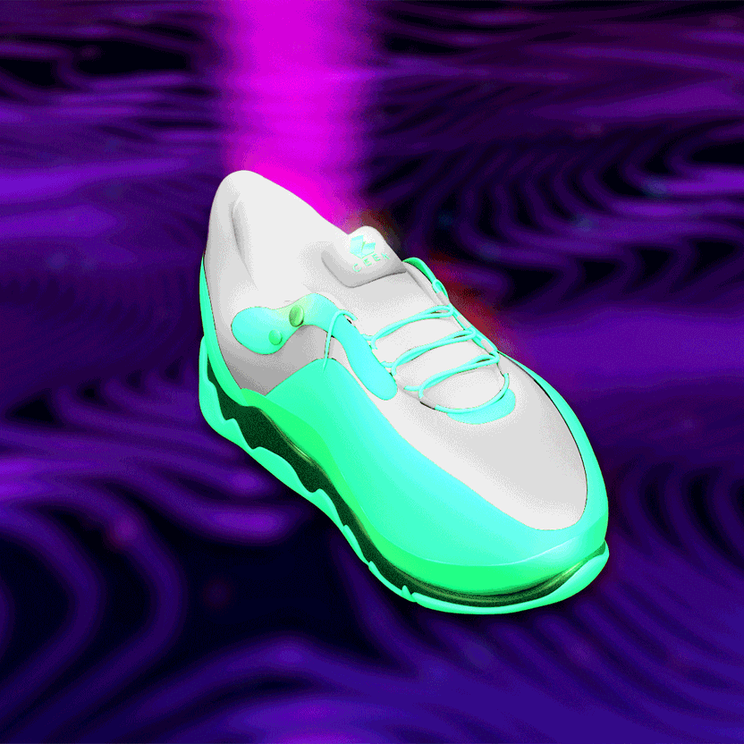nft Shoe 02 88