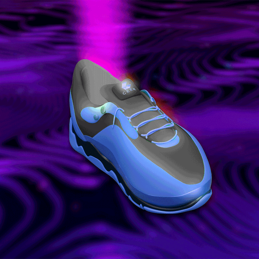 nft Shoe 02 95