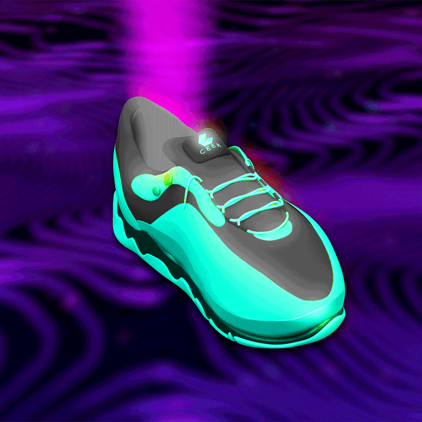 nft Shoe 02 97