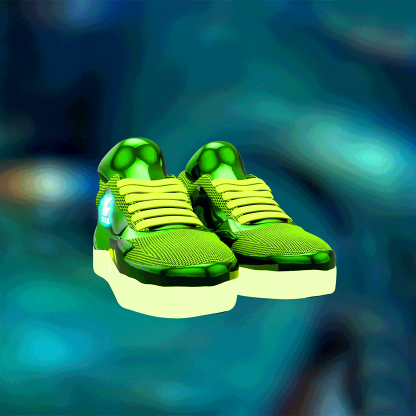 nft Shoe 08 13